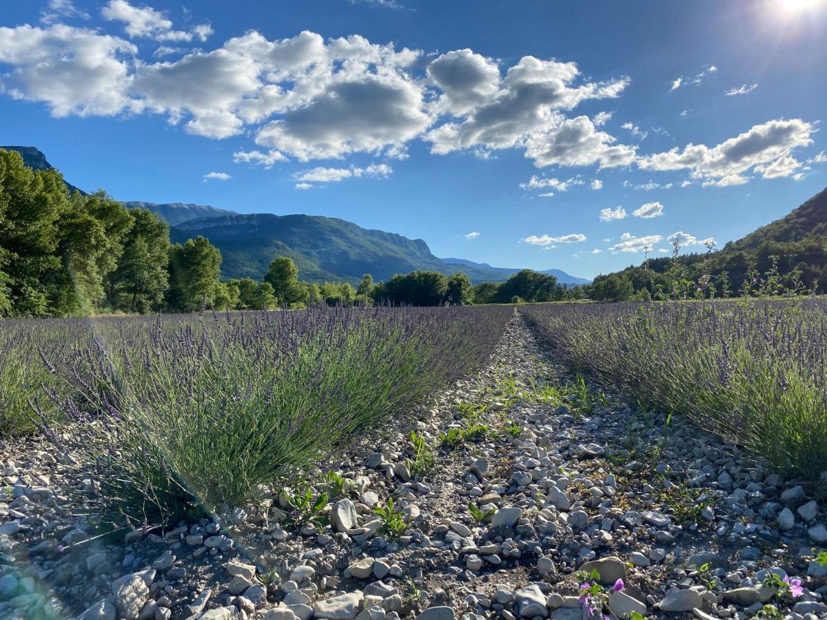 Gite En Haute Provence Montfroc Eksteriør billede
