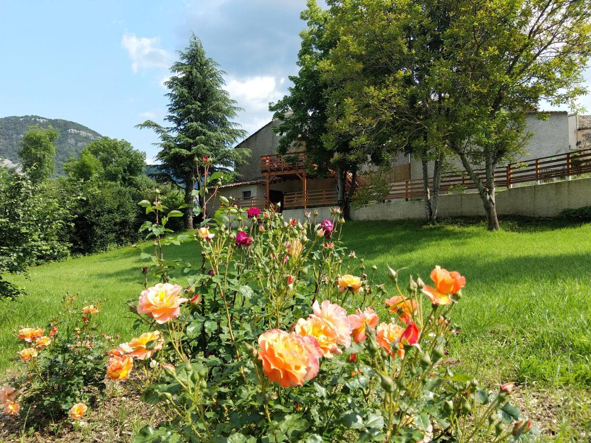 Gite En Haute Provence Montfroc Eksteriør billede